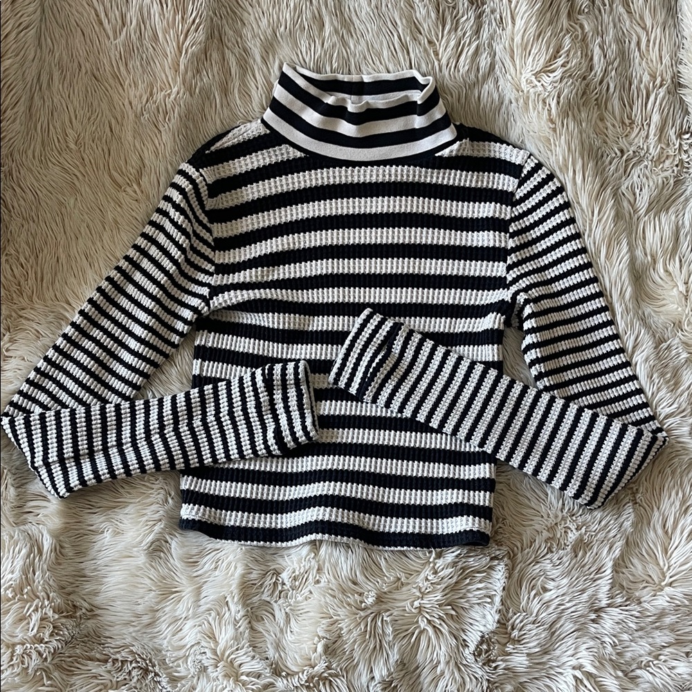 Aerie Striped Long Sleeve Cropped Mockneck